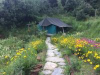 Wildrift Adventures Camp Purple - Mukteshwar - Nainital
