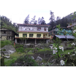 Jibhi Homestead - Jibhi - Kullu