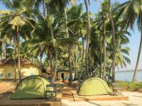 White Collar Hippie - Udupi