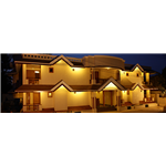 Woods - Anavachal Road - Thekkady