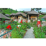 The Chardham Camp Barkot - Yamunotri Road - Uttarkashi