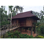 The Treasure Trove Home Stay - Meenangadi - Kalpetta