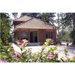 Wild Life Resorts - Kutta Road - Kalpetta