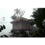 Wynberg Resorts - Trikkaipatta - Kalpetta