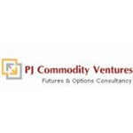 PJ Commodity Ventures Pvt Ltd