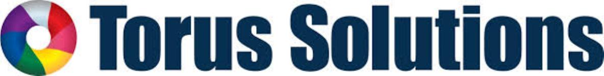 Torus Business Solutions Pvt Ltd