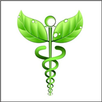 Sri Sai Super Speciality Ayurvedic Hospital - Erragadda - Hyderabad