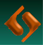 Vishnu Chemicals Ltd