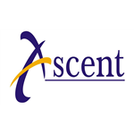 Ascent Business Solutions
