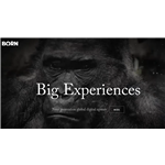 Born Commerce Pvt Ltd