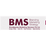 Brandppulse Marketing Solutions