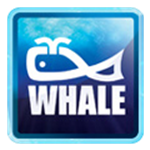 Whale Enterprise Pvt Ltd