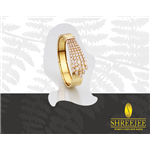 Shreejee Jewellers Pvt Ltd