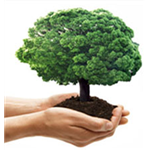 E - Waste Recyclers India