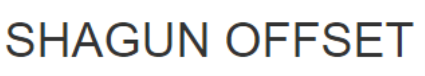 Shagun Offset Pvt Ltd
