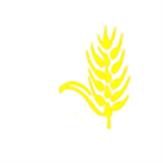 The Malt Company India Pvt Ltd