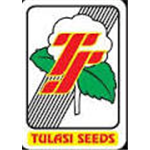 Tulasi Seeds Pvt Ltd