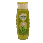 Patanjali aloevera online shampoo