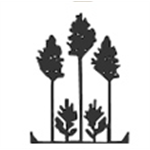 Shekhawati Art Exports