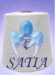 Satia Synthetics Ltd