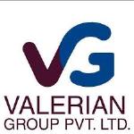 Valerian Engineering Pvt Ltd