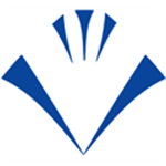 Ventura Lighting & Infratech Ltd