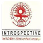 Introspective Detectives Pvt Ltd