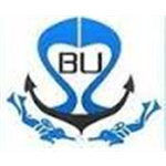 Sri Bhavani Underwater Services