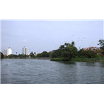 Rabindra Sarovar - Kolkata
