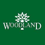 Woodland - Surya Rao Pet - Kakinada