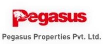 Pegasus Properties, Pune Photos