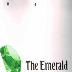 The Emerald Infra - Vadodara Image