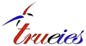 Trueies Smart Surveillance