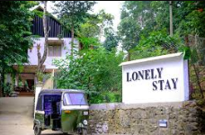 Lonely Stay - Thekkady