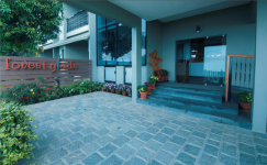 Forest Glade - Munnar