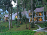 Amaana Plantation Resort - Thekkady