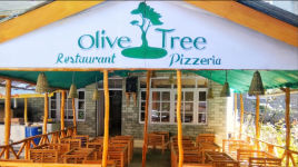 Olive Tree - Old Manali - Manali