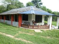 Dream Woods - Dharamshala