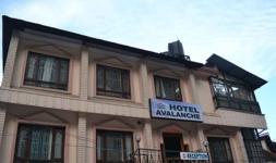 Hotel Avalanche - Shimla