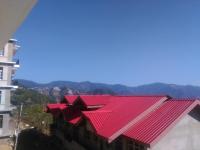 Hotel Flowerdale Villa - Shimla