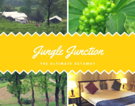 Jungle Junction - Kangra