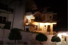 Karma Exotica - Kangra