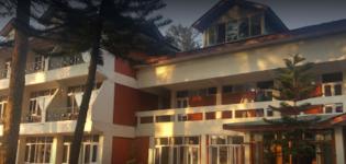 The Tea Bud - Kangra