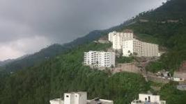 Hotel Iris - Solan