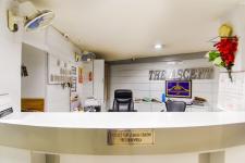 Hotel The Ascent - Solan