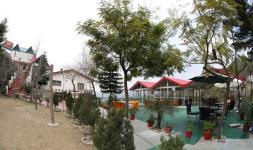 Maple Resort Chail - Solan