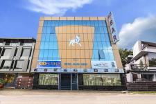 Lions India Hotel - Chennai