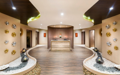 The Lotus Hotel Sameera - Chennai