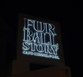 Fur Ball Story - Golf Course Road - Gurgaon