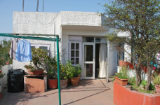 Tree Tops - New Delhi